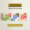 Twinings Strawberry and Elderflower Herbal Tea bags, 20 Tea bags