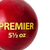DSC Premier Leather Cricket Ball (Red)| Water Proofed Leather Ball