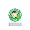 Cute Star stickers with an 'Assistant head teacher's award' Message