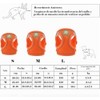 Arnés y correa para gatos, juego de arnés de chaleco
