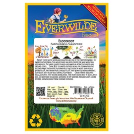 Everwilde Farms - 10 Bloodroot Native Wildflower Seeds - Gold Vault Seed Packet