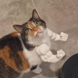 Creative Cat Muscle Arms, 3D Printed Cat's Neck Arm with Muscle, Funny Pet Props Hanging Arm for Kitten Birthday Party Supplies