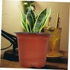 FUNOMOCYA 50Pcs Plastic Flower Pots Breathable Succulent Planters with Drainage