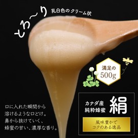 Fujii Apiary Silk Genuine Canadian Honey Cream Honey