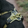 BullyBillows Hurricane Harness | Non-Restrictive Dog Harness | Made With