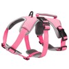 BELPRO Multi-Use Support Dog Harness, Escape Proof No Pull Reflective