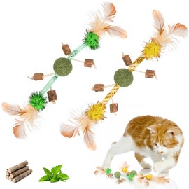 OOTSR 2pcs Catnip Toys Interactive Cat Toys for Indoor Cats Kitten, Natural Catnip toys for Cats Funny Feather Cat Toys with Bells Teething Playing Cat Catcher