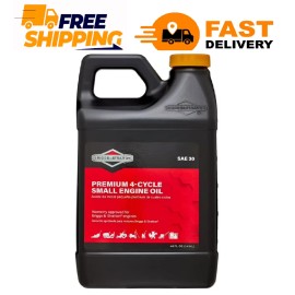 Briggs & Stratton 4-Cycle 48 oz Oil SAE-30 for Small Engines