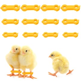 12 Pcs Chicken Leg Bands, Baby Chick Poultry Splay Leg Hobble Brace Supplies for Newborn Spraddle Leg of Chick Bird of 1 to 3 Days Newly Hatched