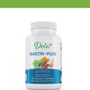 GASTRITIS PLUS. Supplement Healthcare Vitamin Edible