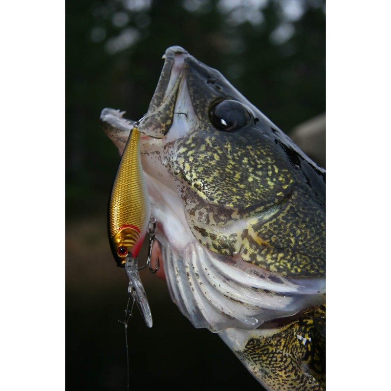 Flicker Shad HD Yellow Perch 3/16 oz