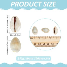PH PandaHall 100pcs Natural Cowrie Seashells, 20mm Ring Top Cowrie Shell Ocean Beach Shells Small Craft Cowries Ornament for DIY Craft Summer Party Table Hat Costume Decoration, 250g