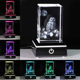 Qianwei Owl Gifts for Women Girls Home Decorations, 3D Crystal Owl Figurines Stuff Gifts for Owl Lovers Mom Kids Men Her Statue Paperweight Birthday for Best Friend Kids, Keepsake&Paperweight