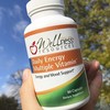 Wellness Resources Gentle Iron and Multivitamin with methylated B12 and