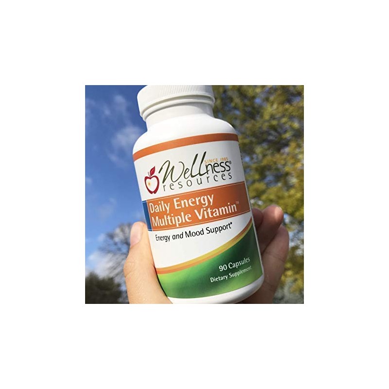 Wellness Resources Gentle Iron and Multivitamin with methylated B12 and