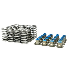 BTR Brian Tooley Racing .560" Lift LS6 Beehive Valve Springs with Hat Seals 4.8 5.3 5.7 6.0