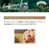 Camomilla Bio 40g Hampstead Tea