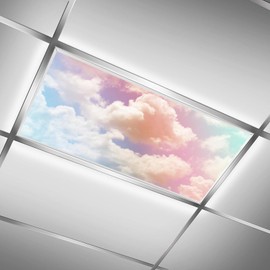 2PCS Fluorescent Light Covers for Classroom Ceiling Lights Magnetic Light Covers,Fluorescent Light Filters for School Home Office Drop Ceiling Lamp Decor Light Filters 4x2Feet(Coral Dolphin2)