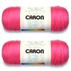 Caron Simply Soft Bulk Buy Yarn Solids (2-Pack) (Watermelon)