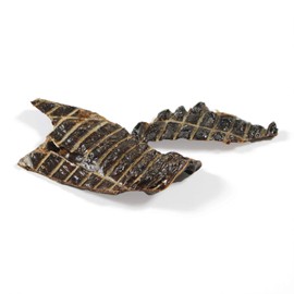 Pet Pro Dog Treat, Domestic Treat, Cow Lever Jerky (No Additives, No Colorings), 2.8 oz (80 g) x 1