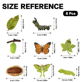 Gkhlg 8 Pieces Butterfly and Luna Moth Life Cycle Model Set Realistic Educational Grow Butterfly Kit Caterpillar Perfect for Kids Homeschoolers Classroom Teaching Party Decorations and Nature Lovers