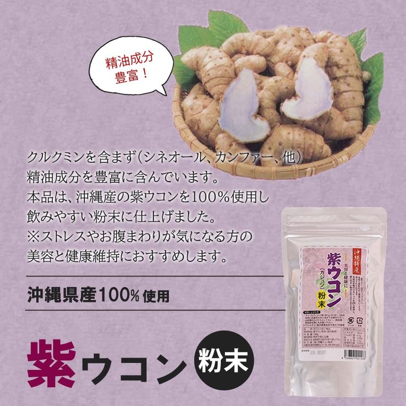 紫ウコン粉末 100g×1P スタンドパック 沖縄ウコン販売 沖縄特産 ガジュツ粉末 沖縄産ガジュツ100%使用