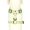 Dog Harness and Leash Set, Adjustable Dog Harness, Dog Leash,