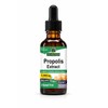 Nature's Answer | Propolis Extract, 2 000 Mg, 1 Oz