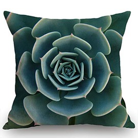 Swono Green Aloe Succulent Plant Cotton Linen Throw Pillow Case Cushion Cover Home Office Decorative for Sofa Living Room Square 18 X 18 Inches