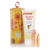 Burt's Bees Gift Set A Gift Of Nature
