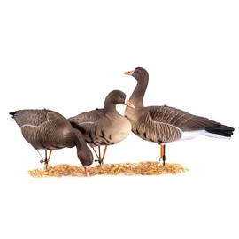 Heerweiyi Realistic Specklebelly Goose Decoys - Durable and Detailed Hunting Decoy Set with Lifelike Feather Patterns - 6-Pack for Outdoor Sports and Waterfowl Hunting