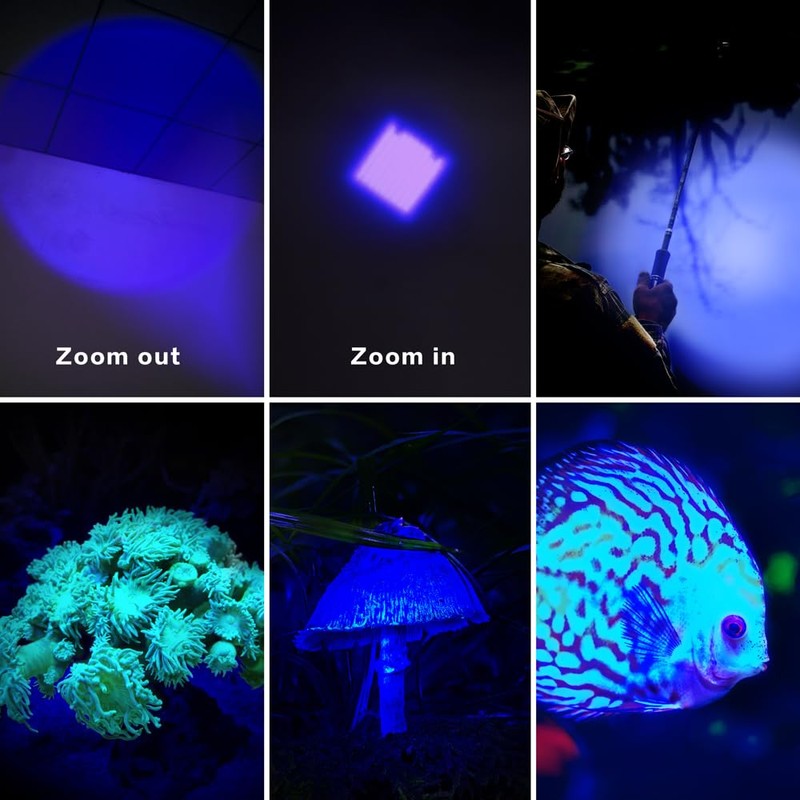 RaySoar 4 Pack Color Light 3-Mode Flashlight: Red Light Flashlight,