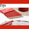 Pepy Aero Graphite Professional Drawing Pencils - Set of 12