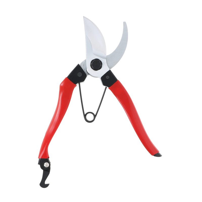 Takagi Sunflower Factory x TAKAGI Pruning Shears, 7.9 inches (200