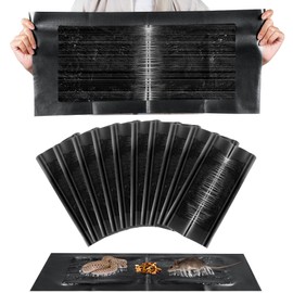Qualirey 10 Pack 24 x 11'' Mouse Glue Traps, Anti Slip Rat Snake Rodent Sticky Pads Pet Friendly, Peanut Scented Mice Glue Board That Work for Home Indoor Outdoor Restaurant Kitchen Hotel Office