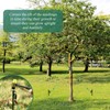 Suzile 120 Pcs Tree Stake Kit, Heavy Duty Tree Staking