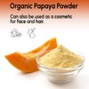 Organic Papaya Pure Powder - All Natural Powder for Baking,