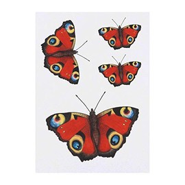 4 x 'Peacock Butterfly' Temporary Tattoos - Water Resistant, Skin-Safe, Non-Toxic Transfers, Mixed Sizes (TO00013864)