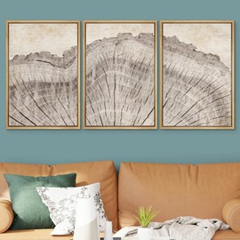 SIGNWIN Framed Canvas Print Wall Art Set Retro Close Up Oak Wood Tree Rings Nature Wilderness Illustrations Modern Art Decorative Farmhouse Zen for Living Room, Bedroom, Office - 16"x24"x3 Natural