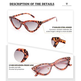 Livhò Retro Vintage Narrow Cat Eye Sunglasses for Women Clout Goggles Plastic Frame (Leoaprd Grey)