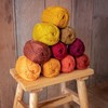 Studio Sam Acrylic Yarn Set. Ten Large 50g Skeins. Total