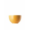 Rosenthal Thomas Sunny Day Müslischale Yellow [SP] UVP: 19,00 €"