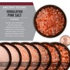 SaltWorks Ancient Ocean Himalayan Pink Salt, Artisan Pour Spout Pouch,