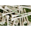 Bird Darts Premium Bamboo Wood Golf Tees, 18/72/180 Units (Packs