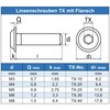 Eisenwaren2000 | M8 x 100 mm Rounded Head Screws with