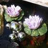 Mini Pond Complete Set with 2 Artificial Water Lilies Purple
