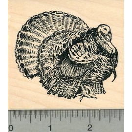 RubberHedgehog Wild Turkey Rubber Stamp, Thanksgiving Series L37209  WM
