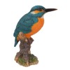 Kingfisher on a Stump, Wild Bird Collection by Vivid Arts