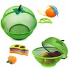 Wicker Fruit Tray -Handled Wicker Fruit Basket, Wicker Fruit Bowl,