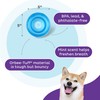 Outward Hound Outward Hound by Planet Dog Snoop Interactive Treat